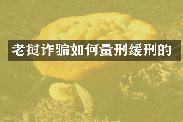 老挝诈骗如何量刑缓刑的