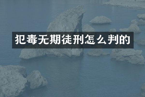 犯毒无期徒刑怎么判的