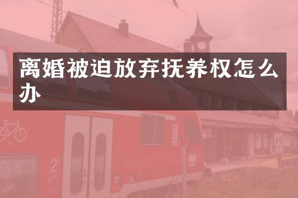 离婚被迫放弃抚养权怎么办