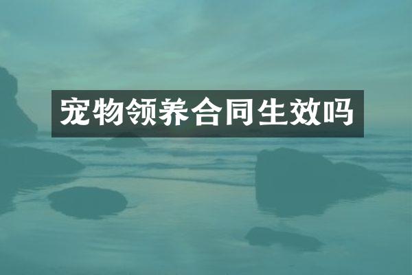 宠物领养合同生效吗