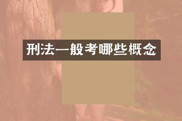 刑法一般考哪些概念