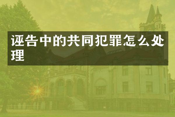 诬告中的共同犯罪怎么处理