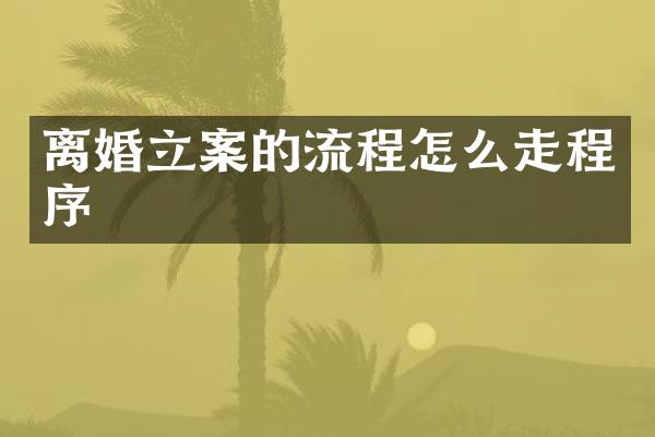 离婚立案的流程怎么走程序