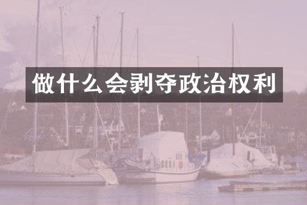 做什么会剥夺政治权利
