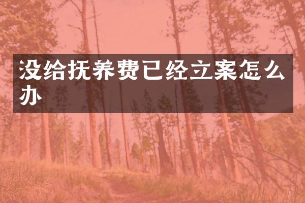 没给抚养费已经立案怎么办