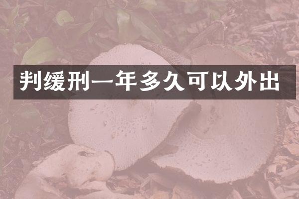 判缓刑一年多久可以外出