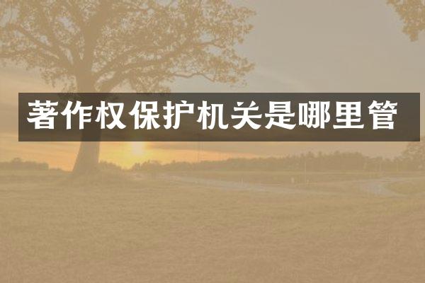 著作权保护机关是哪里管