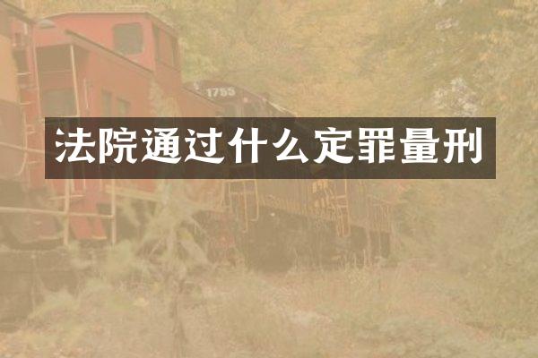 法院通过什么定罪量刑
