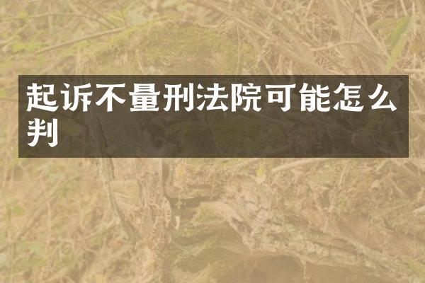 起诉不量刑法院可能怎么判
