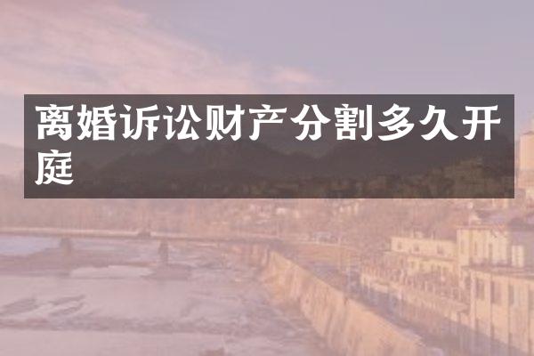 离婚诉讼财产分割多久开庭