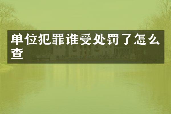 单位犯罪谁受处罚了怎么查