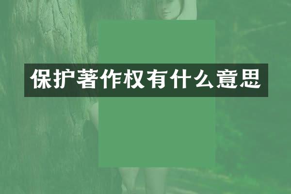 保护著作权有什么意思
