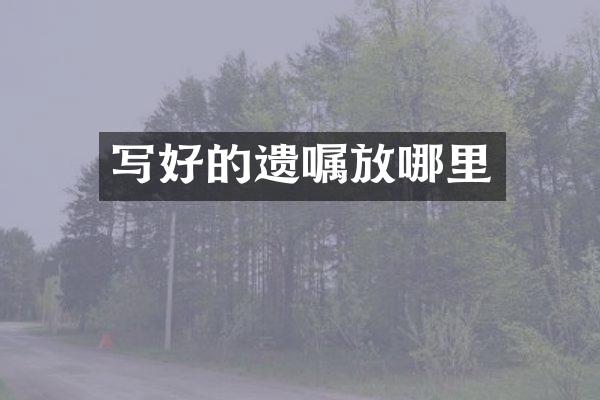 写好的遗嘱放哪里