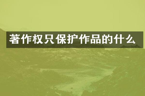 著作权只保护作品的什么