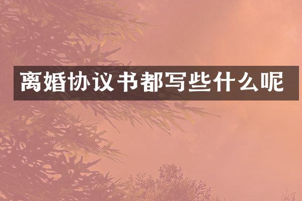 离婚协议书都写些什么呢