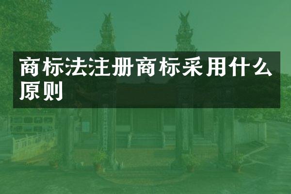 商标法注册商标采用什么原则