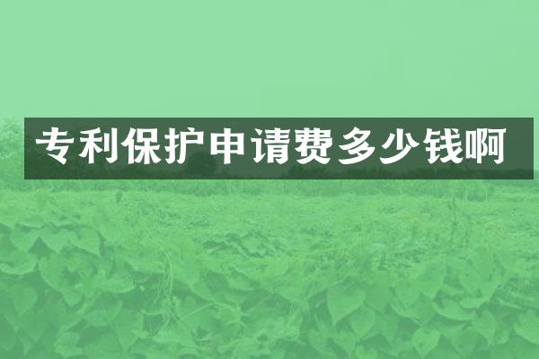 专利保护申请费多少钱啊