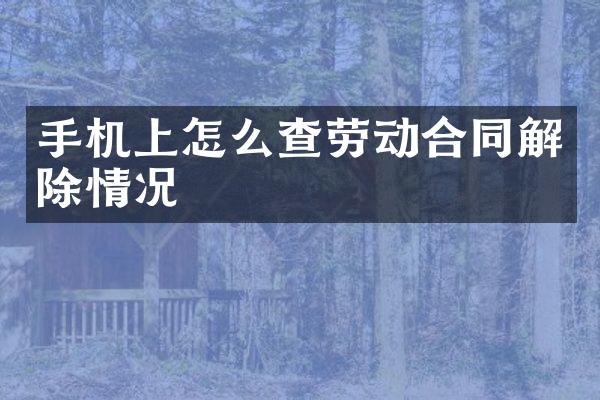 手机上怎么查劳动合同解除情况