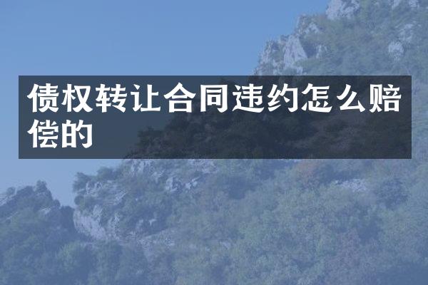 债权转让合同违约怎么赔偿的