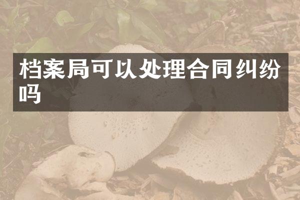 档案局可以处理合同纠纷吗