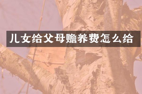 儿女给父母赡养费怎么给