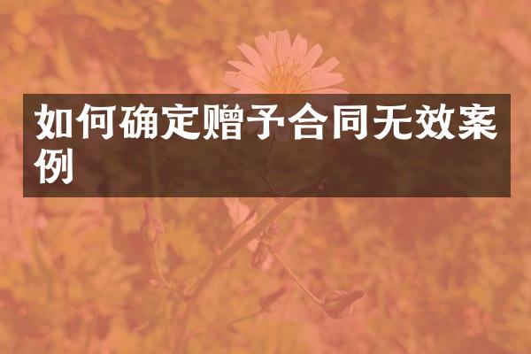 如何确定赠予合同无效案例