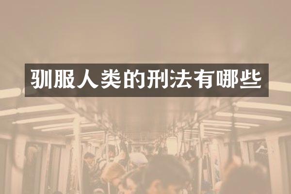 驯服人类的刑法有哪些