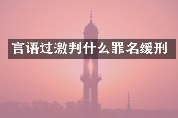 言语过激判什么罪名缓刑