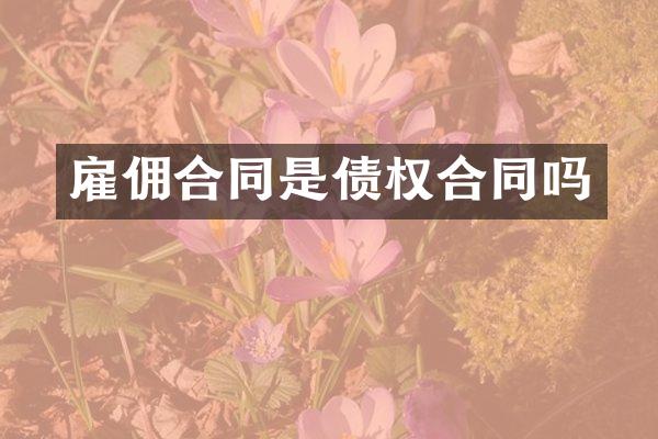 雇佣合同是债权合同吗