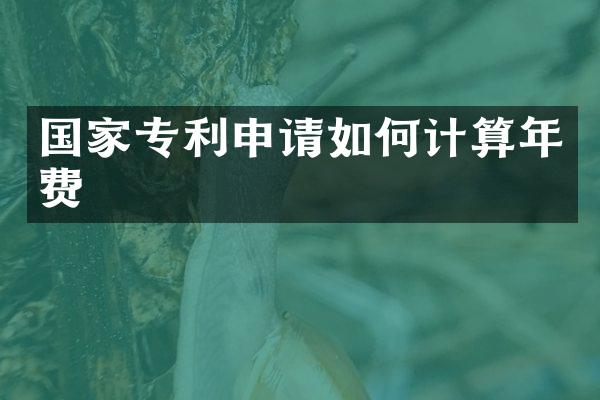 国家专利申请如何计算年费