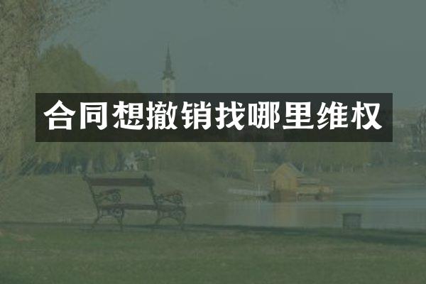 合同想撤销找哪里