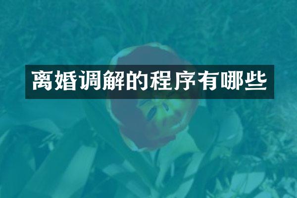 离婚调解的程序有哪些