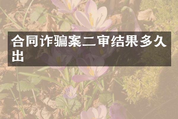 合同诈骗案二审结果多久出