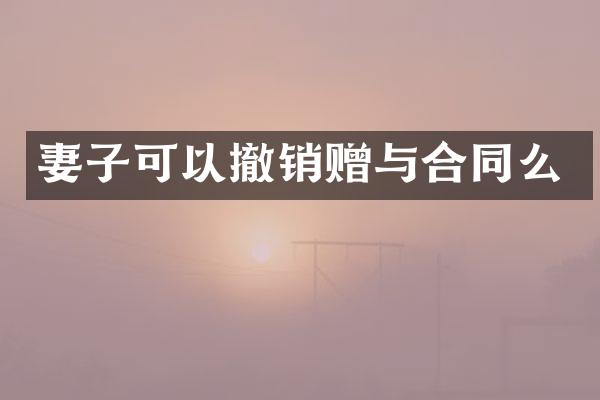 妻子可以撤销赠与合同么