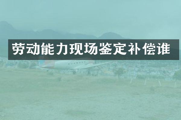 劳动能力现场鉴定补偿谁