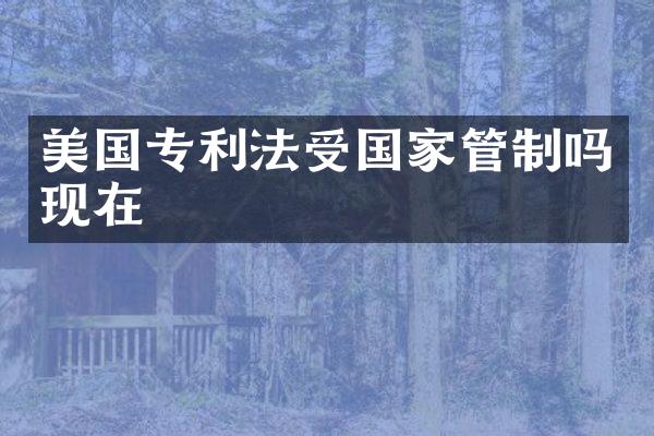 美国专利法受国家管制吗现在