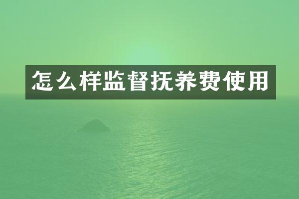 怎么样监督抚养费使用