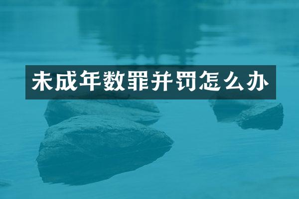 未成年数罪并罚怎么办