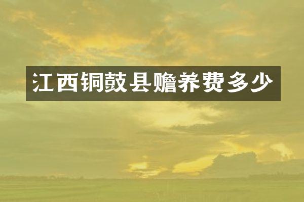 江西铜鼓县赡养费多少