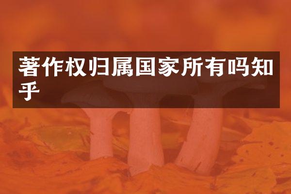 著作权归属国家所有吗知乎