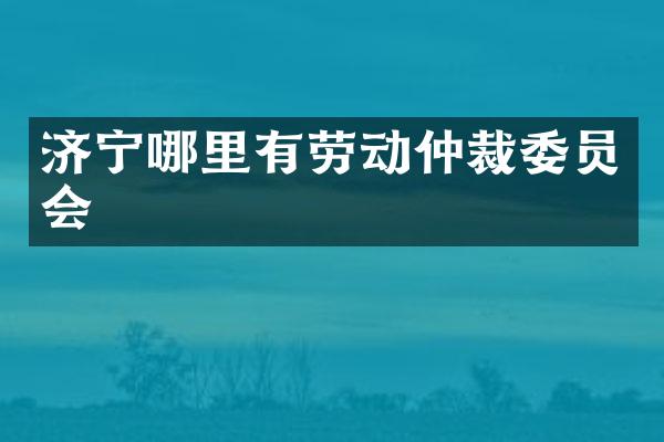 济宁哪里有劳动仲裁委员会