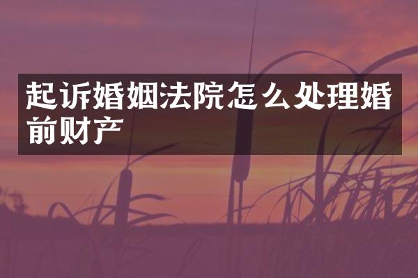 起诉婚姻法院怎么处理婚前财产