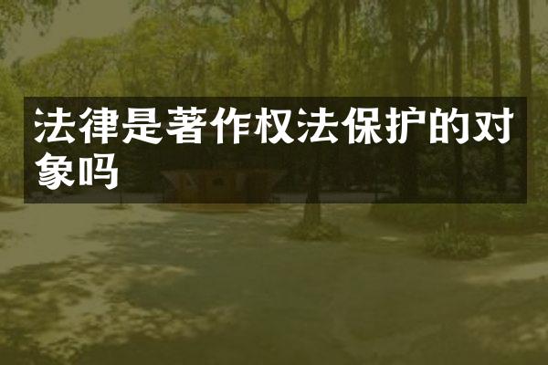 法律是著作权法保护的对象吗