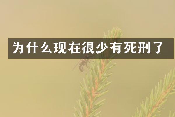 为什么现在很少有死刑了