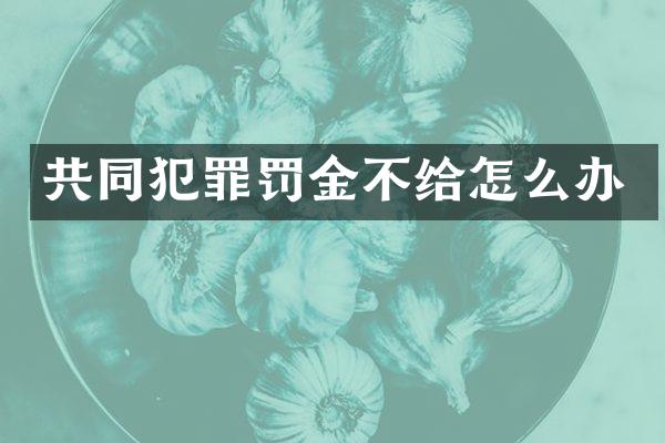 共同犯罪罚金不给怎么办
