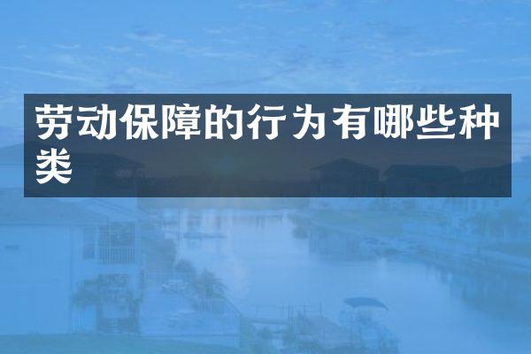 劳动保障的行为有哪些种类