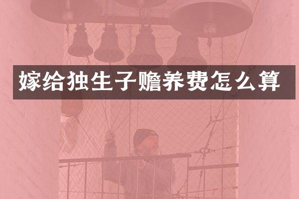 嫁给独生子赡养费怎么算