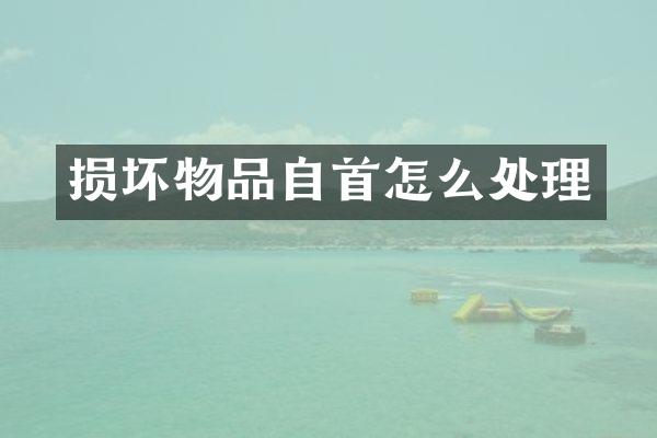 损坏物品自首怎么处理