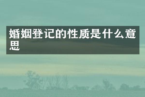 婚姻登记的性质是什么意思
