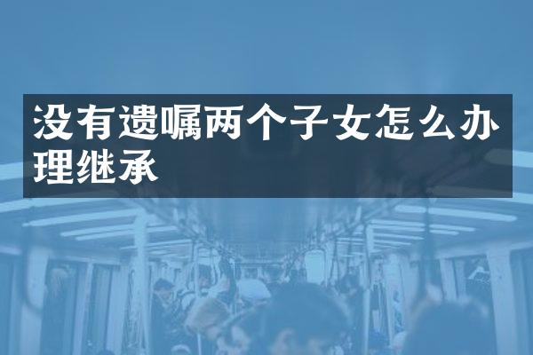 没有遗嘱两个子女怎么办理继承